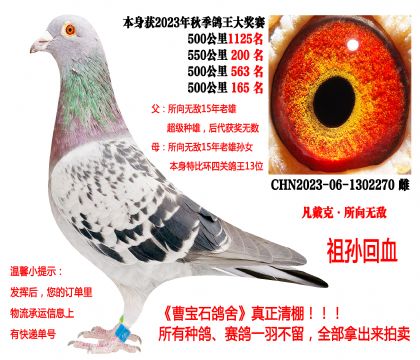 �����ˡ�����o������O�䣩23�����P(gu��n)�ɿ�(j��)��