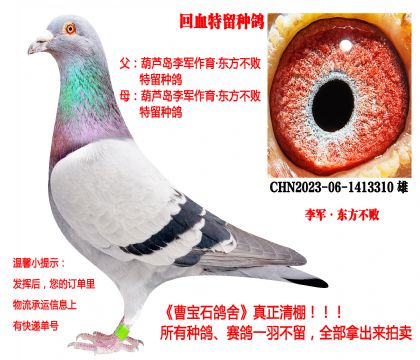 �|���������H��23�������N����