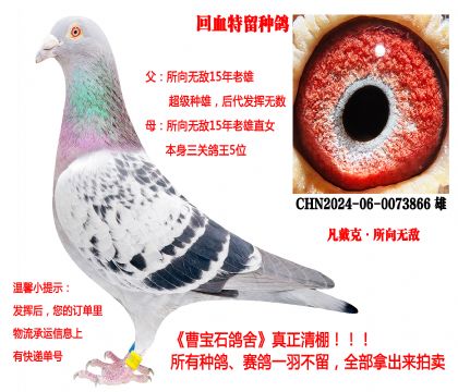 �����ˡ�����o�����H��24�������N����