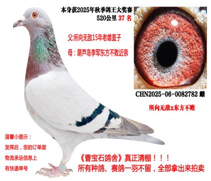 ����o��x�|������������520����37����