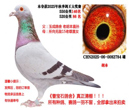 ����x����o��������520����86����