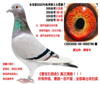 ��Ԫ�ᡤ����̖(h��o)x�|��������25�����P(gu��n)�ɿ�(j��)����