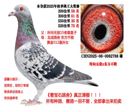 ����o��x�|������������550����35����520����75����