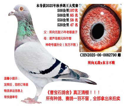 ����o��x�|������������550����58����520����47����