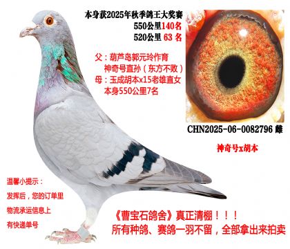 ��Ԫ�ᡤ����̖(h��o)x����������520����63���ȣ�