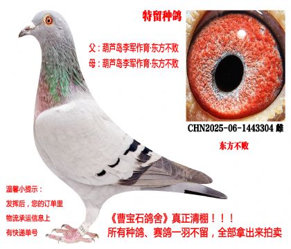 �|���������H��25�������N����