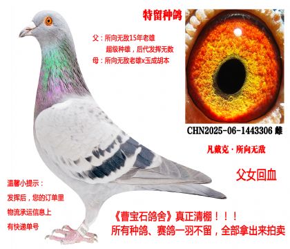 �����ˡ�����o�����H��25�������N����