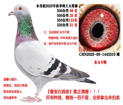 �|������������500����25����520����31���ȣ�