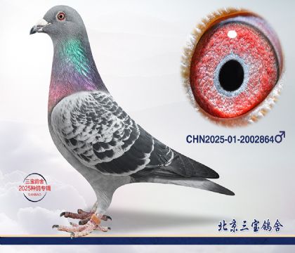 1.���R��x����.2002864