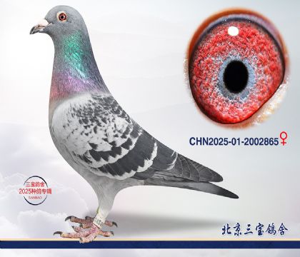 3.���R��x����.2002865