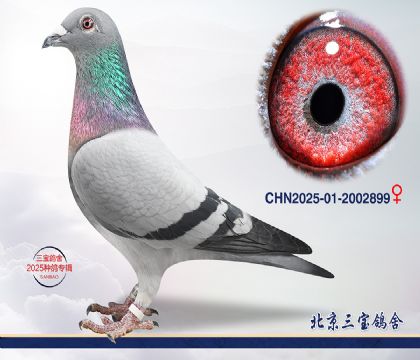 4.����x����.2002899