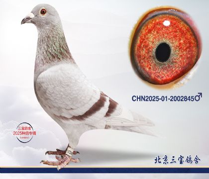 7.�ٰ���x�w��.2002845