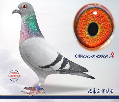 10.Ӣ��˹��Ѫ.2002913