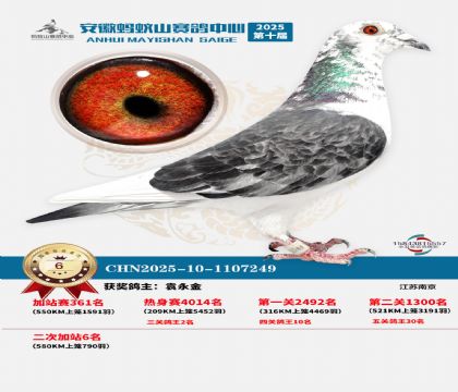 ����ɽ580�����վ��6��