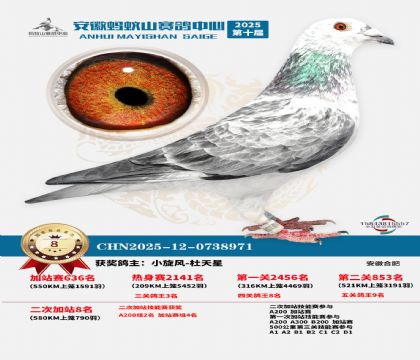 ����ɽ580�����վ��8��