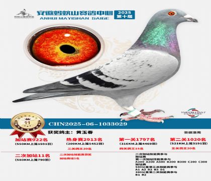 ����ɽ580�����վ��11��