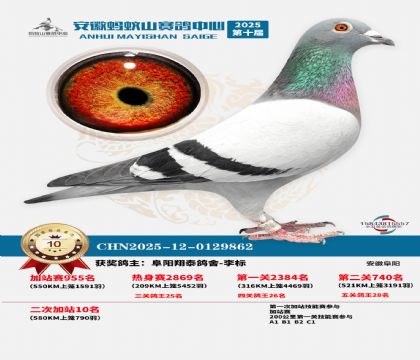 ����ɽ580�����վ��10��