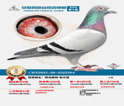 ����ɽ580�����վ��12��