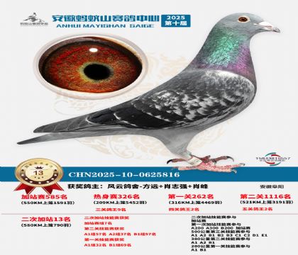 ����ɽ580�����վ��13��