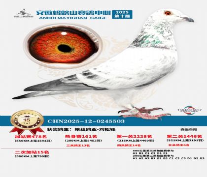 ����ɽ580�����վ��15��