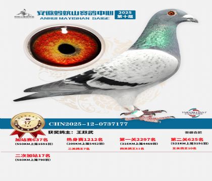 ����ɽ580�����վ��17��