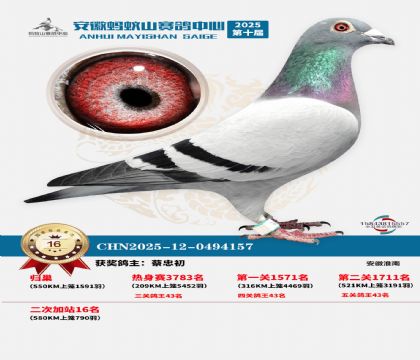 ����ɽ580�����վ��16��