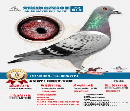 ����ɽ580�����վ��18��