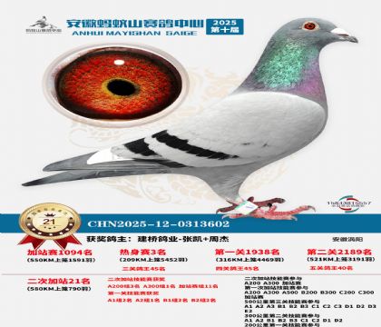 ����ɽ580�����վ��21��