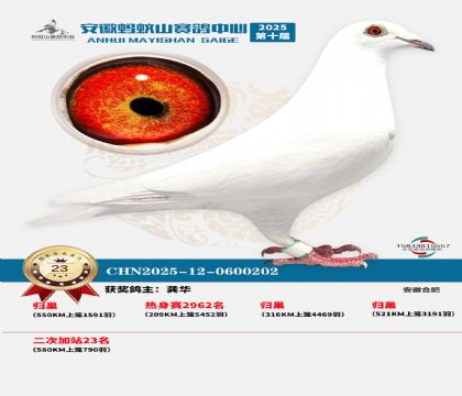 ����ɽ580�����վ��23��