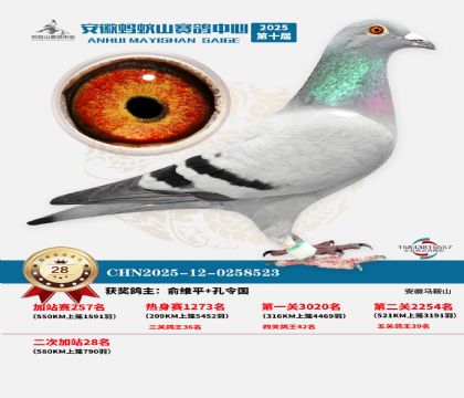 ����ɽ580�����վ��28��