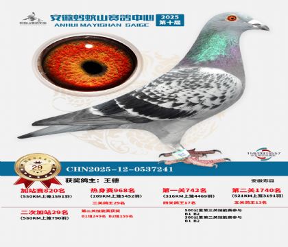 ����ɽ580�����վ��29��