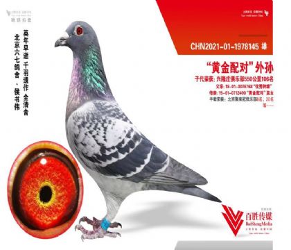 ���Ϸ��� �������߸���ƽ��������