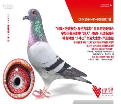 ���Ϸ��� ������������Ž���