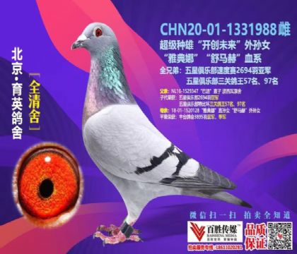 ���Ϸ��� ��ʤ��ý�ŵ��� ������