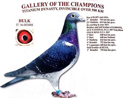 753����ȫ��(gu��)��܊