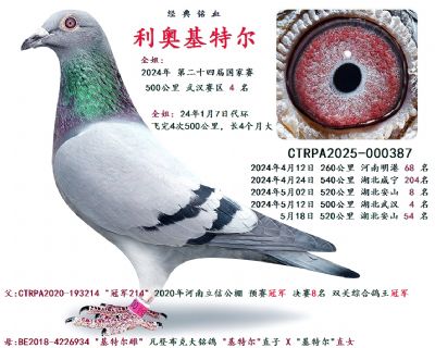 ���W���ؠ�