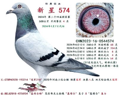 ȫ �� ����ِ4��