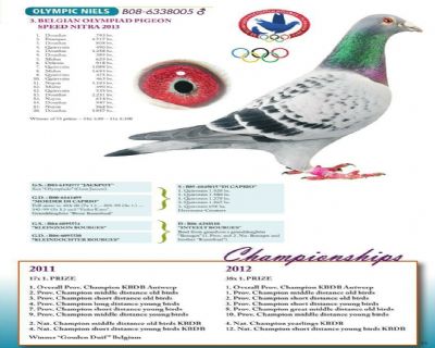 �游 �W��ƥ���᠖˹