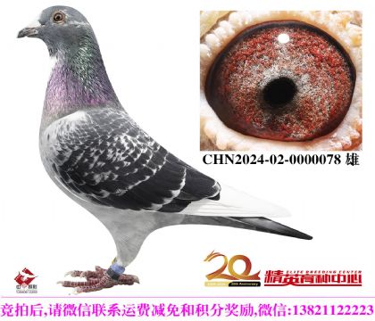 ��ѻ��ض�����ȫ������ֱ��