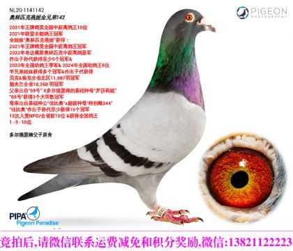 ����ȫ���о������10λ