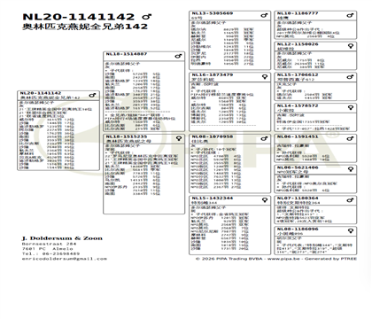 ����Ѫͳ��