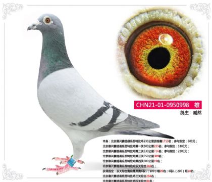 ��������������ֲ��رȻ��Ĺ��ۺ�84��   ��	