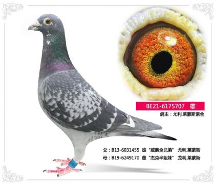 ����.����˹ԭ��--������ȫ�ֵܡ�ֱ��707   ��	