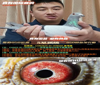 ������ʵս�������ĸ858��Ѫ��ũ��