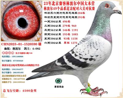 110��ͬ�ѻ��506���＾��