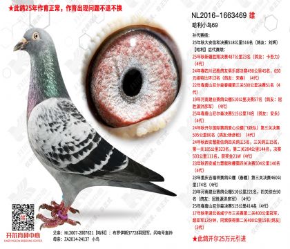 ���ͱ����ϴ���-1663469