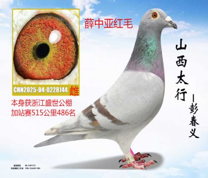 �㽭ʢ����վ��486��Ѧ���Ǻ�ë