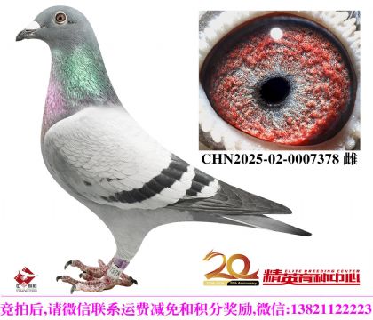 �������롱��ʱ��911��������Ů