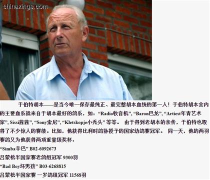 �ڲ��غ���