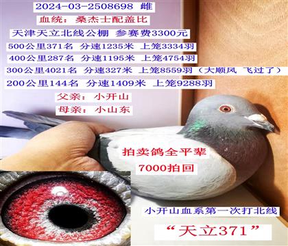 ͬ��ĸȫƽ��